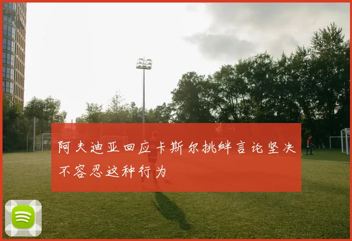 阿夫迪亚回应卡斯尔挑衅言论坚决不容忍这种行为